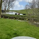 Hotelhuisjes