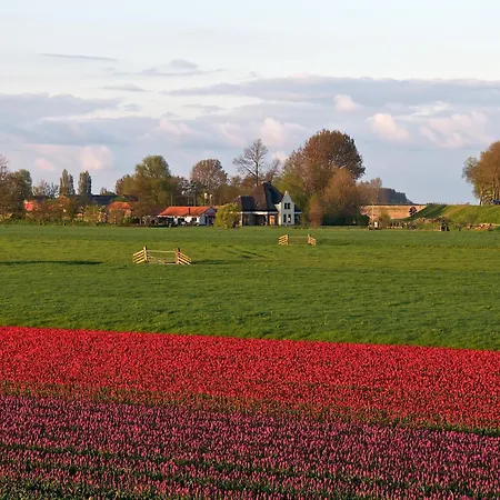 Hotelhuisjes Hotel Oosterleek