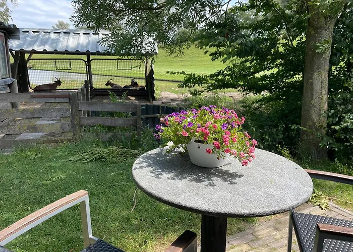 Hotelhuisjes Hotel Oosterleek