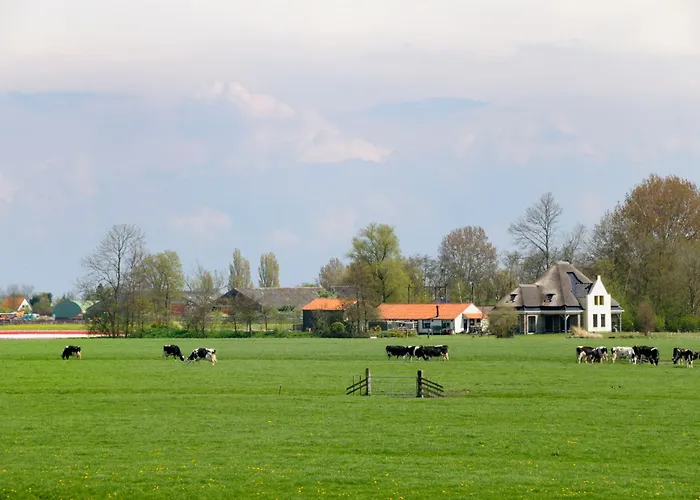 Hotelhuisjes Oosterleek