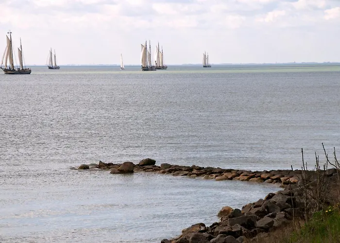 Hotel Hotelhuisjes Oosterleek