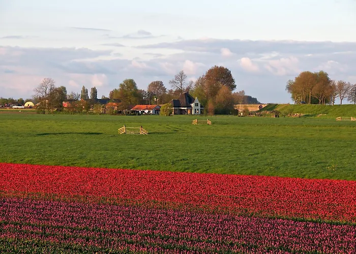 Hotelhuisjes Hotel Oosterleek