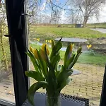Hotelhuisjes 3*
