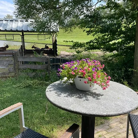 Hotelhuisjes Hotel Oosterleek