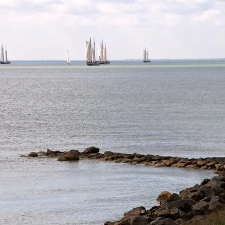 Hotel Hotelhuisjes Oosterleek