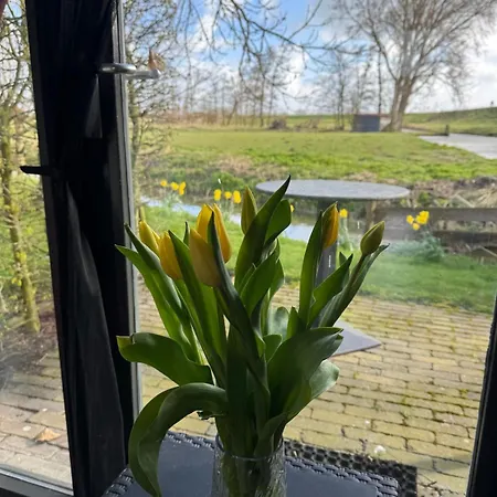 Hotelhuisjes 3*