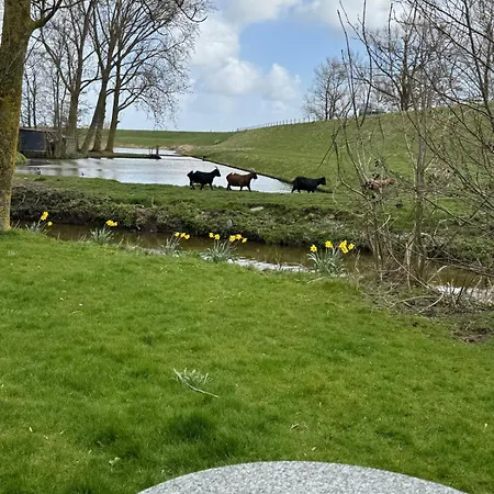 Hotelhuisjes